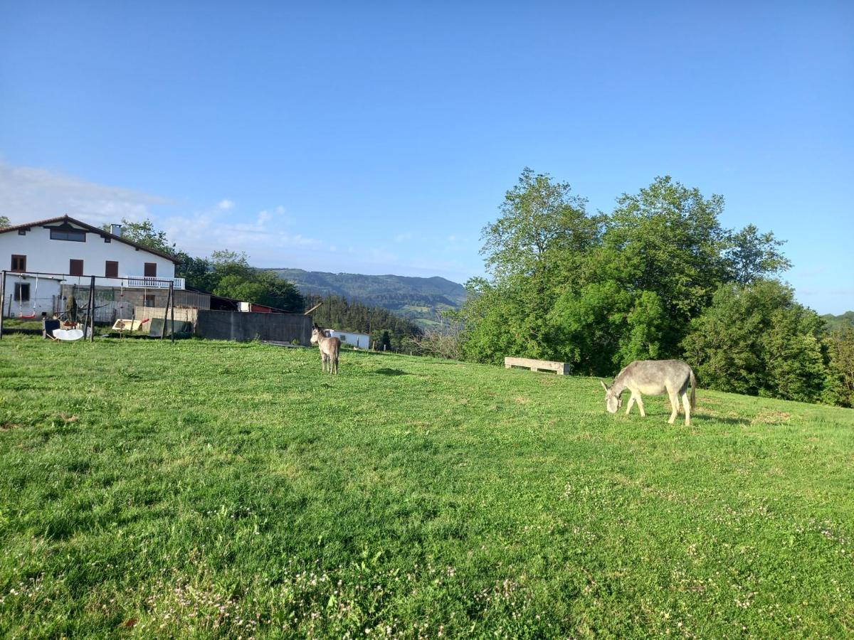 Agroturismo Pagoederraga 오리오 외부 사진