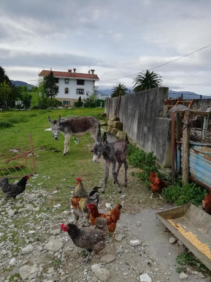 Agroturismo Pagoederraga 오리오 외부 사진