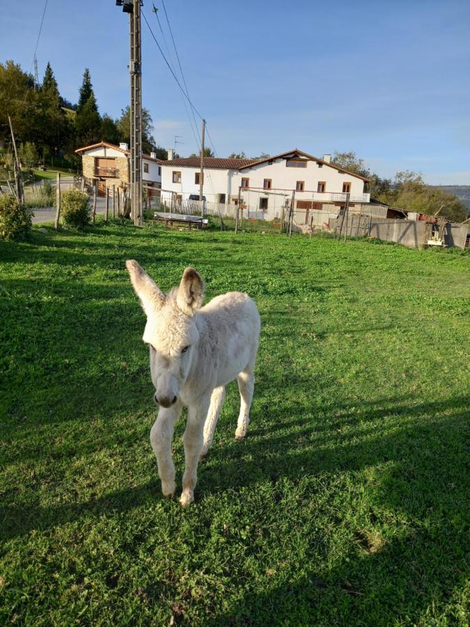 Agroturismo Pagoederraga 오리오 외부 사진