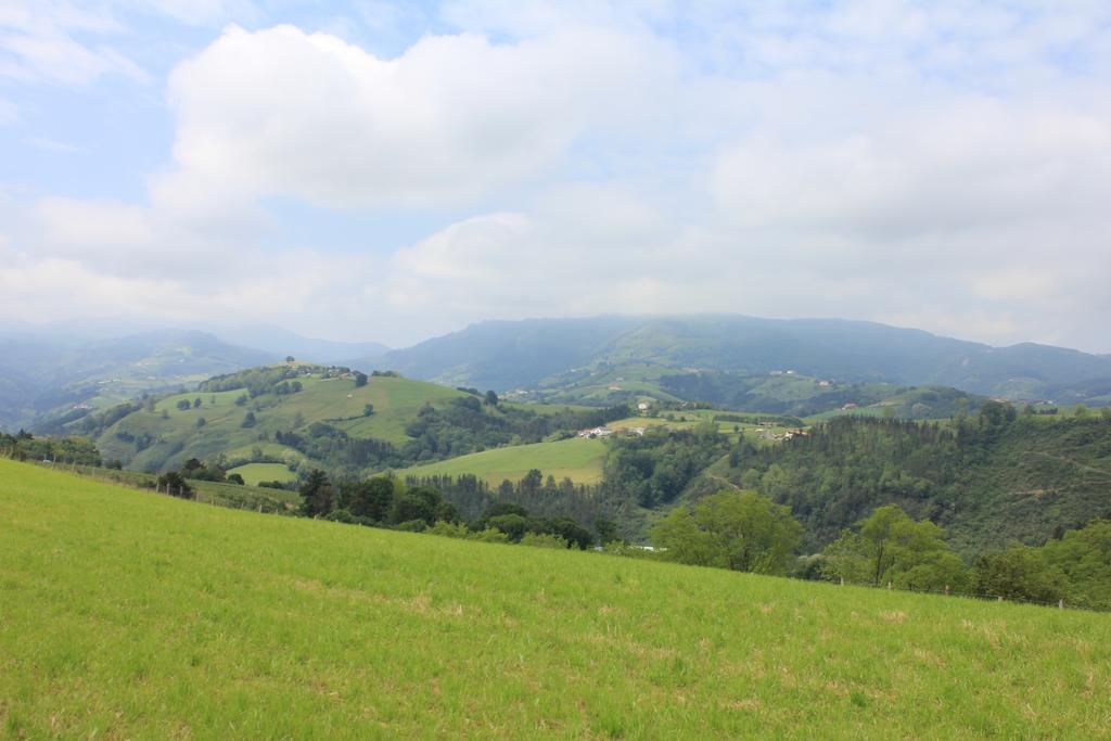 Agroturismo Pagoederraga 오리오 외부 사진