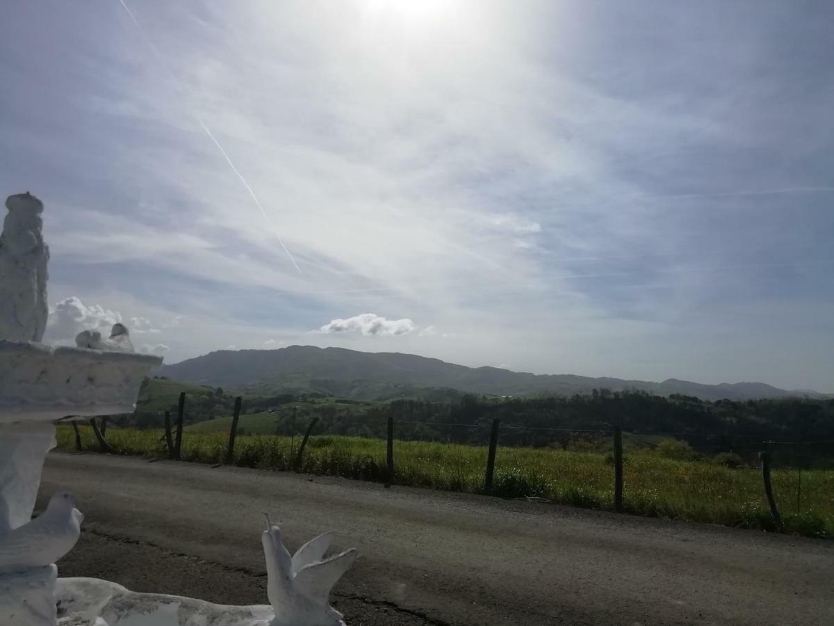 Agroturismo Pagoederraga 오리오 외부 사진