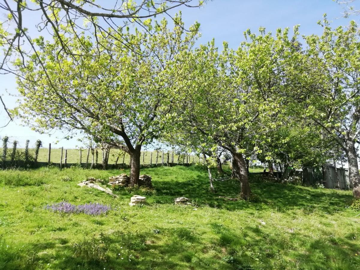 Agroturismo Pagoederraga 오리오 외부 사진